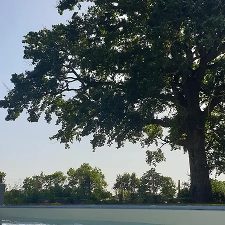 Nocleg ze śniadaniem Le Grand Jardin 3*